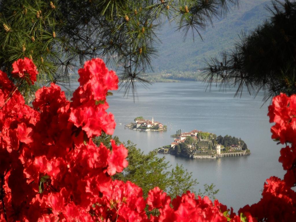 B&B Villa La Camana Stresa Exterior foto